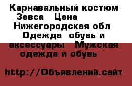 Карнавальный костюм Зевса › Цена ­ 1 000 - Нижегородская обл. Одежда, обувь и аксессуары » Мужская одежда и обувь   